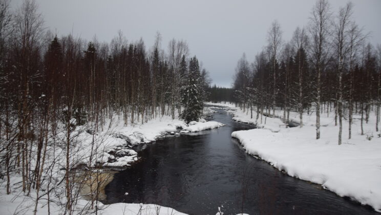 Nuestra ruta de 4 días por la Laponia finlandesa (y algunos consejos)
